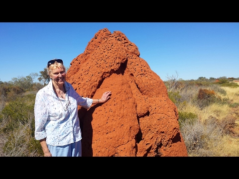 Roebuck Roadhouse to Port Headland HD