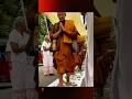 Venerable monks brings me peace 🙏🏽. Today is going to be my peaceful day Sadhu Sadhu Sadhu 🙏🏽