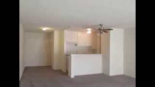 preview picture of video 'PL4935 - Spacious Studio with FULL KITCHEN for Rent! (Van Nuys, CA)'