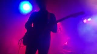 The Academic - Fake ID