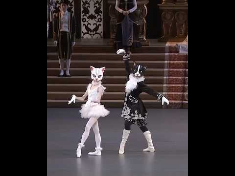 マリニー劇場 - 定義