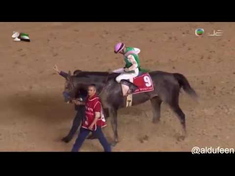 Dubai World Cup win Arrogate