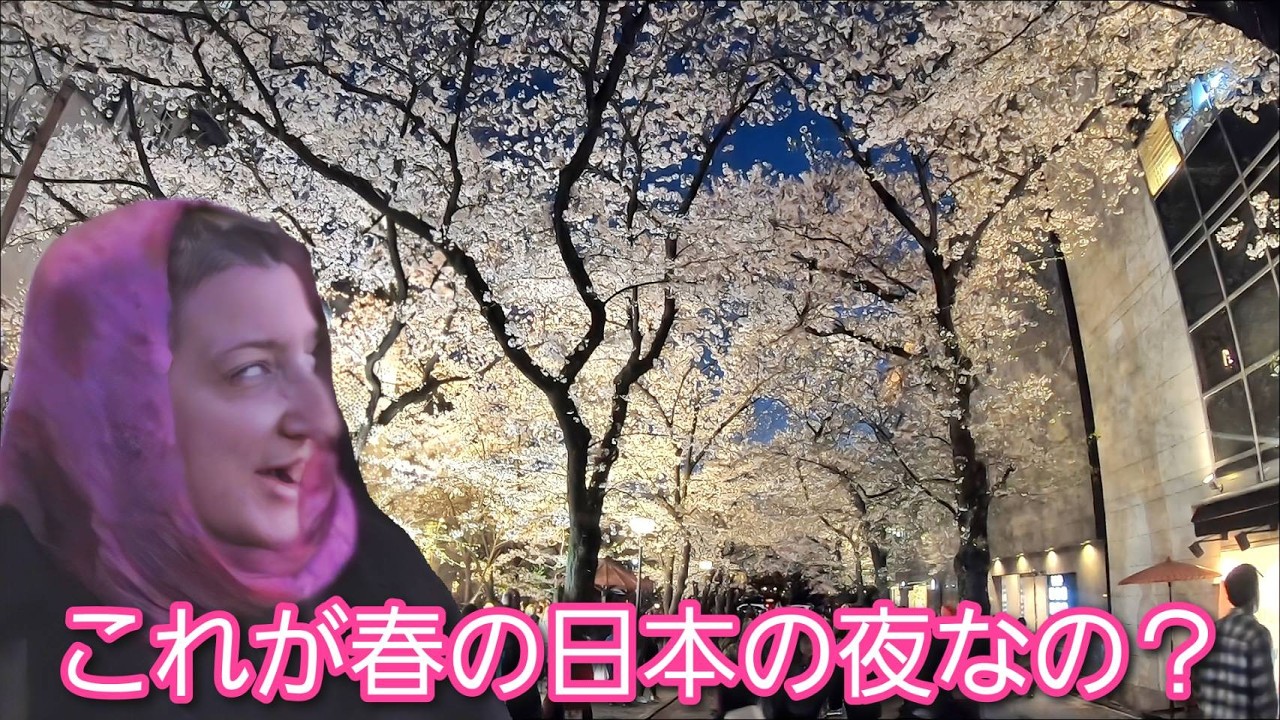 これが春の日本の夜なの？外国人観光客が満開の夜桜にテンションマックス