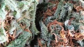 Cypress Hill ~ Certified Bomb