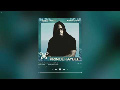 Prince Kaybee at Spring Fiesta (DJ Mix) | Afro House