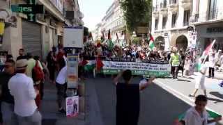 preview picture of video 'Palestine en Avignon'