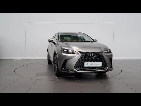 Lexus NX 350h Executive FWD*Call Andrew 0862617858 - Image 2