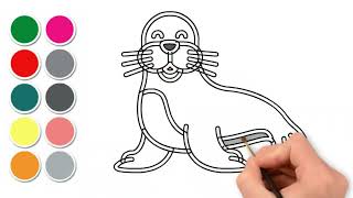 How to draw and color an Seal? step by step