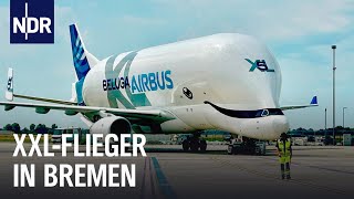 XXL-Fracht für die Beluga in Bremen I Abenteuer Flughafen (2/2) | Die 