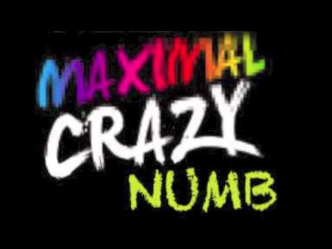 Maximal crazy numb (Dj Geovane Henrique Edit)