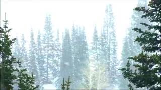 RELAX PIANO MUSIC + SNOW FALLING 1 HOUR Meditation, Beautiful Nature, Soothing, Calming