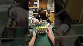 5 hours. One table. Big swings.Grinding in San Francisco at the legendary Oaks Card Club… #casino