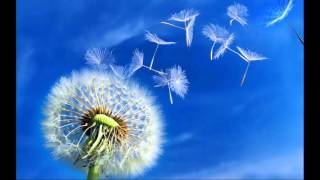 Elle était si jolie, par Serge Préville