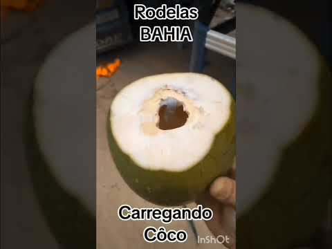 carregamento de coco rodelas Bahia