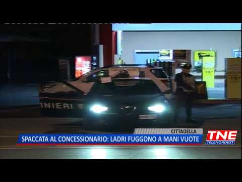 TG (14/04/2018) - SPACCATA AL CONCESSIONARIO: LADRI FUGGONO A MANI VUOTE