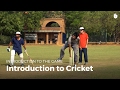 Introduction To Cricket Cricket