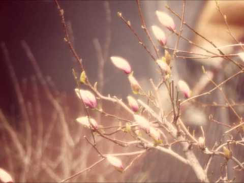 Vulnerable