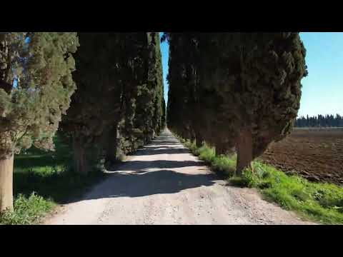 Benvenuti alla Tenuta Poggetti della Morisfarms