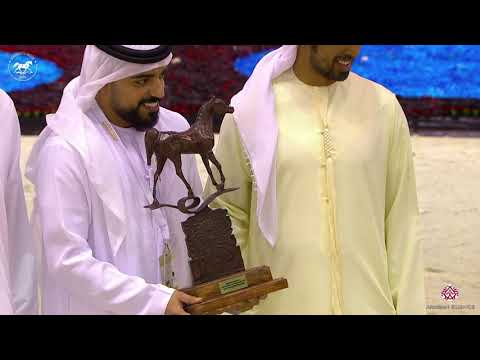 N 25 AJ AL BRRAQAH 5   Dubai Arabian Horse Show 2020   Yearling Fillies Championship Class 15