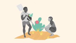 Global Education First Initiative Frames Global Citizenship With 2D Animation for EdTech Campaigns