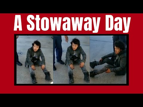 How Could This Stowaway Survive 60 Degrees Below Zero For 2.5 Hours?