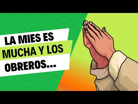 Animando a trabajar en la obra | Pr Rafael Monteiro - Ig. B. Cainsa Artigas 15/02/2023