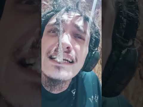 Here ya go a golden goodie 