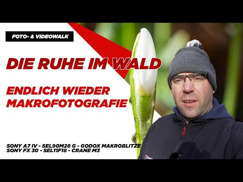 Die Ruhe im Wald - Makrofotografie - Fotowalk - Erste Makrorunde im neuen Jahr - Sony FX30 - A7 IV