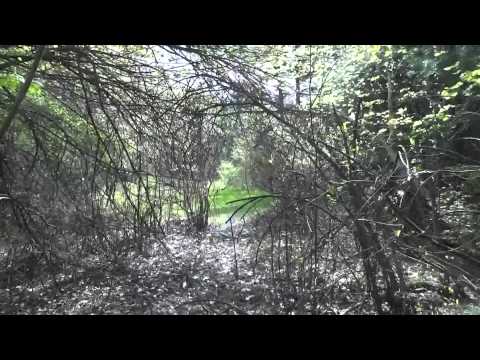 Critter at Breakheart Reservation