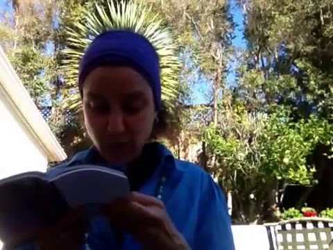 M.L.M. 4 The Soul: Perek Shira - Part 4