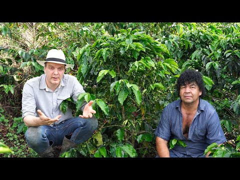 Subscription Coffee Tasting - May 2022