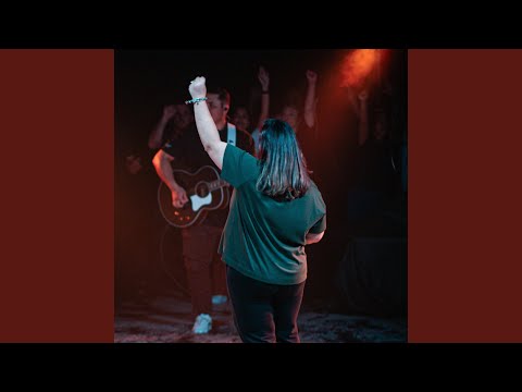 Imparáveis - Erica Gerencer