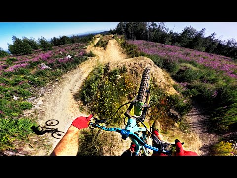 These Jumps Were on A "Blue" Trail