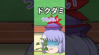 【持ち物別】持ち物検査した時慧音の反応#shorts #ゆっくり #ゆっくり茶番