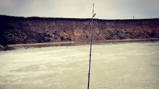 Ссылка