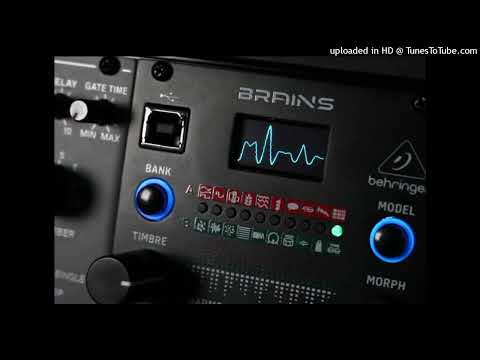 Behringer poly d and brains module