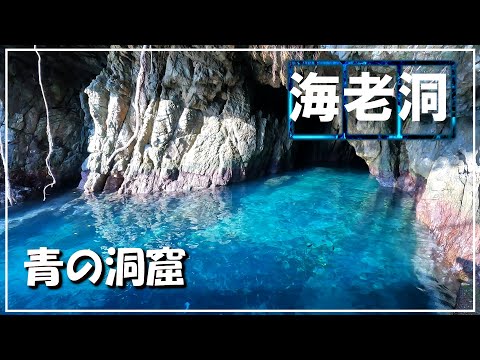 透き通るブルー【青の洞窟　海老洞】土佐清水 松尾のアコウ  Vlog〖４Ｋ〗