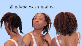 SHOWER WASH AND GO FOR TEXTURED COLORED HAIR| Adwoa Beauty Combo| Heyknottygirl