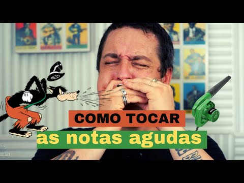 Como tocar o agudo da Gaita @ Dicas de Gaita