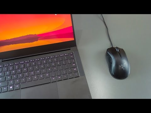 2019 Razer Blade Stealth 13 Review - Gaming Ultrabook!