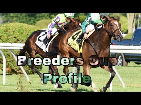 Breeders Cup Profile: Sistercharlie