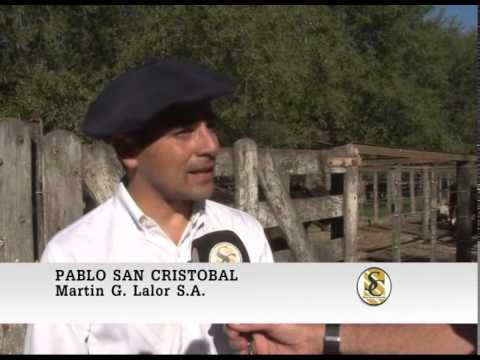 Nota Fin de Año - Pablo San Cristobal - Martin G. Lalor S.A.