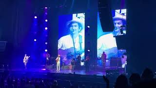 Bacilos 2024 - Viejo