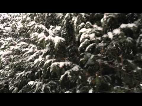 Snow falling in slow motion 2