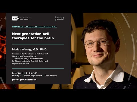 NHGRI DIR Seminar Series - Marius Wernig