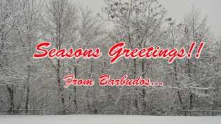 Black and Blue Christmas