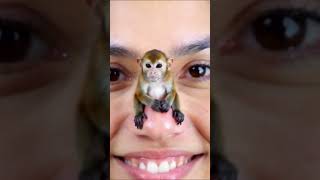 the monkey is sitting on the nose of a girl