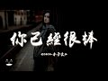 coco-木子文 - 你已經很棒『想說你真的已經很棒，我想說真的以你為光。』【動態歌詞 | Pinyin Lyrics】【PENGUIN MUSIC】