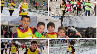 Campestre CSI Trissino 2017