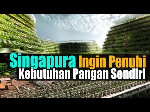 , title : 'Teknologi Singapura Pertanian Masa Depan!! Siap Bangun 2000 Menara Pertanian'